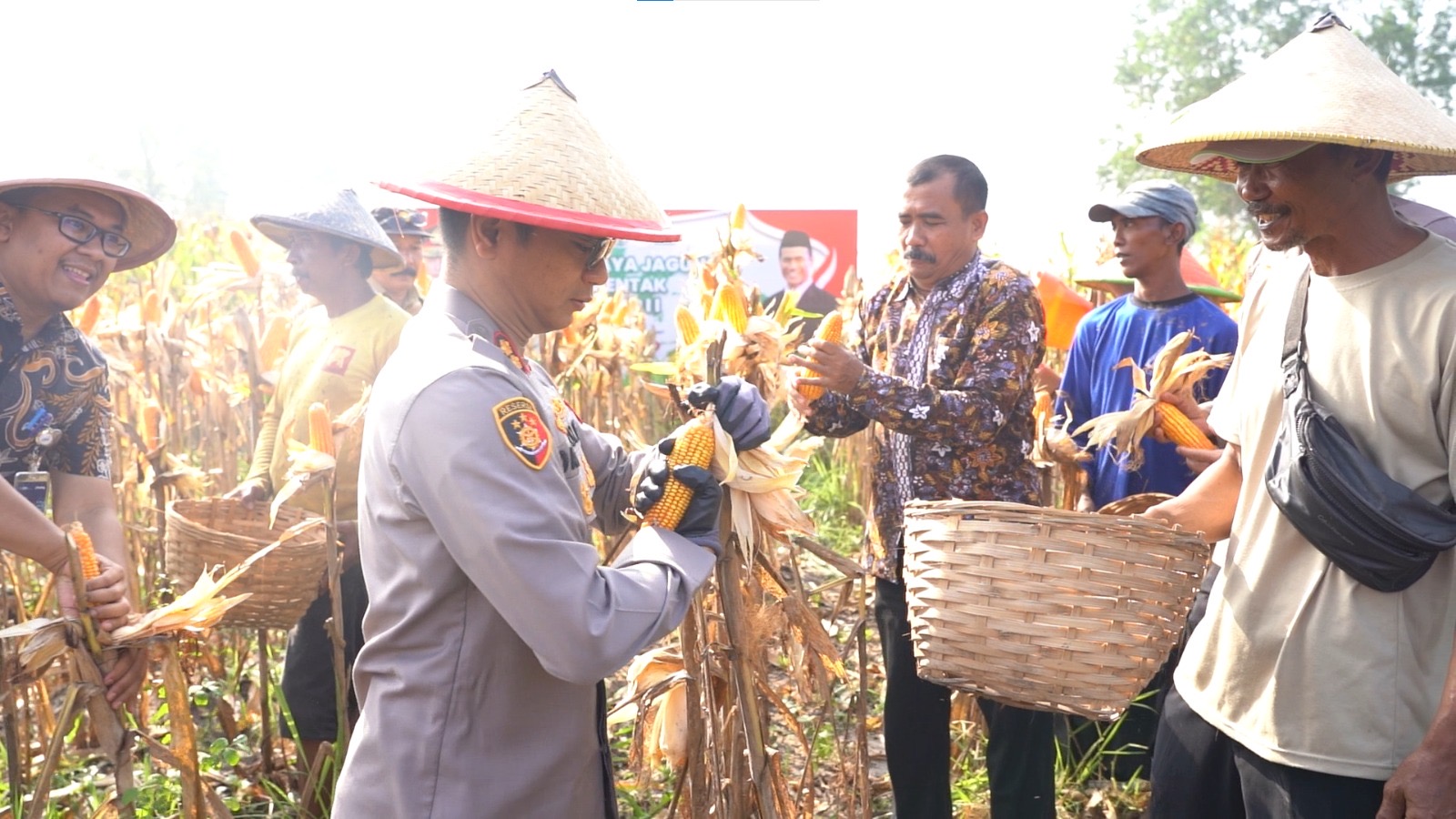 Panen Raya Jagung Tahap II, Polres Mojokerto Kota Perkuat Ketahanan Pangan Nasional